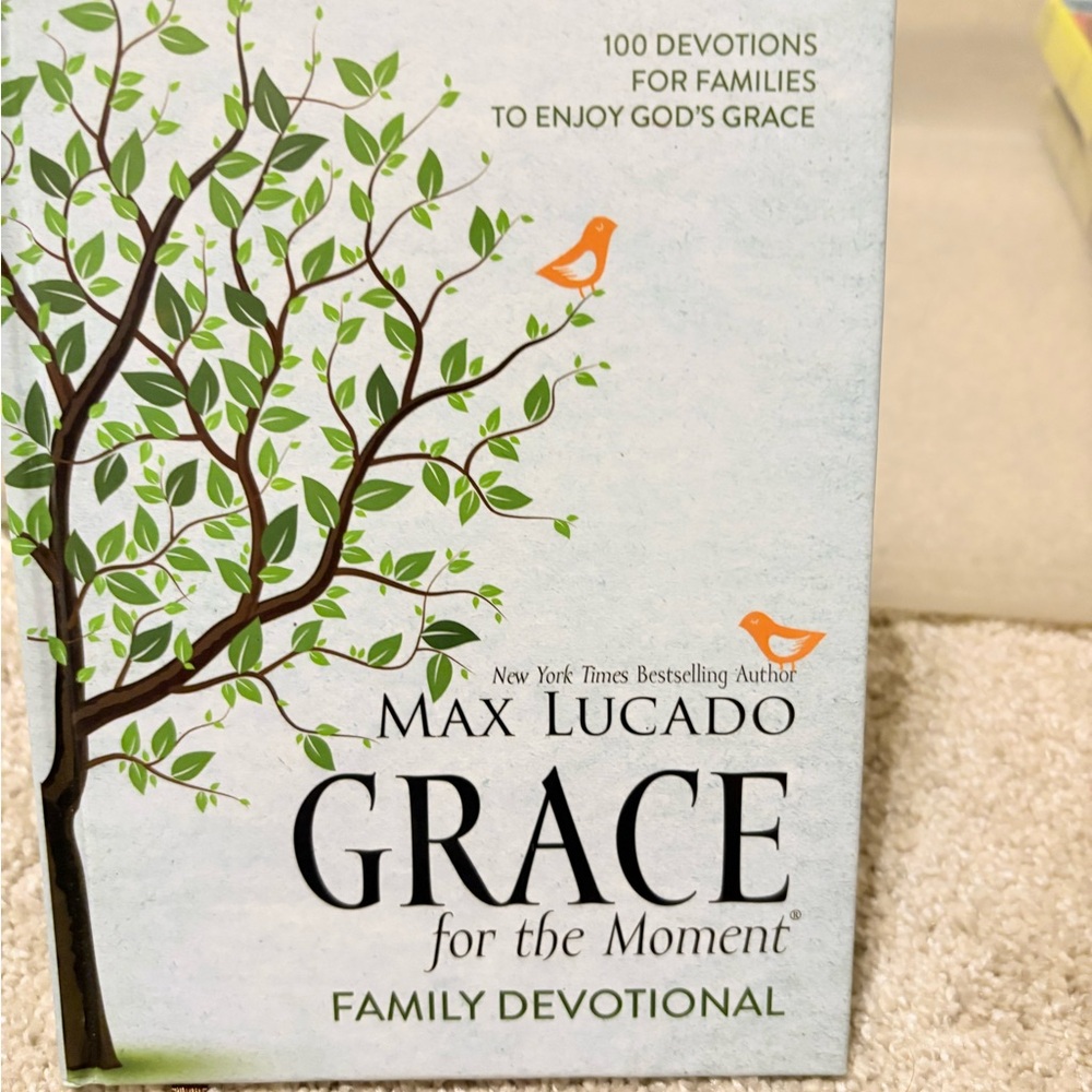 7/$20 Grace for the Moment Family Devotional Book